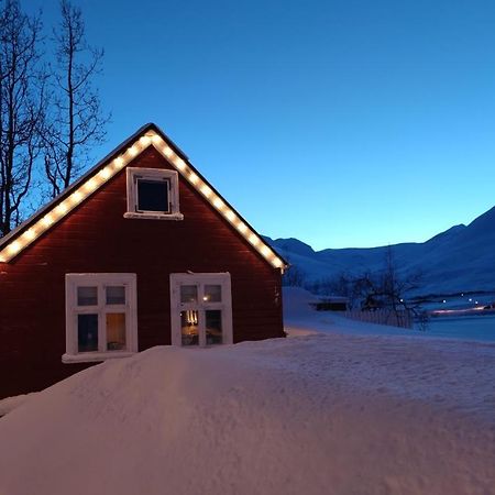 Dalvik Vegamot Cottages Extérieur photo