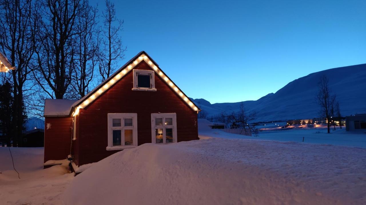 Dalvik Vegamot Cottages Extérieur photo